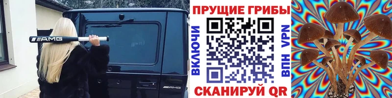 Псилоцибиновые грибы Cubensis  Палласовка 